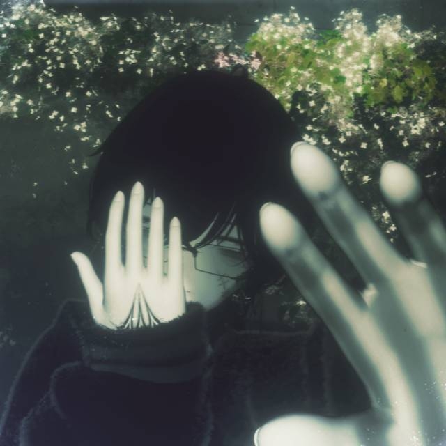 西木视觉Smo4GotVibe