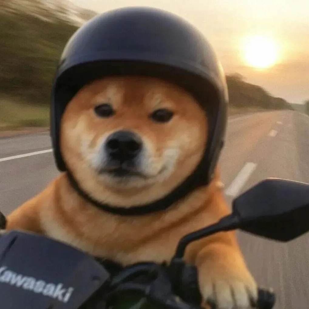 Y了个G